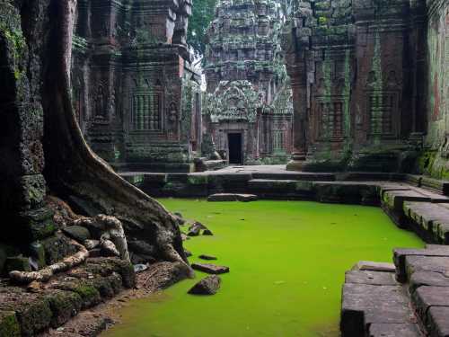 TEMPLE IN CAMBODIA